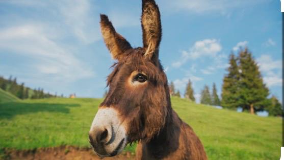 whatsapp image 2026 03 09 at 10.24.59